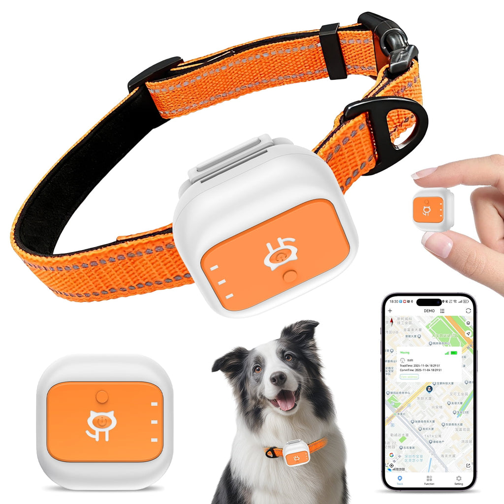 4G GPS Pet Tracker Collar